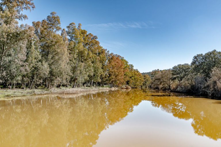 Paseos en carruaje por la Dehesa de Castilseras