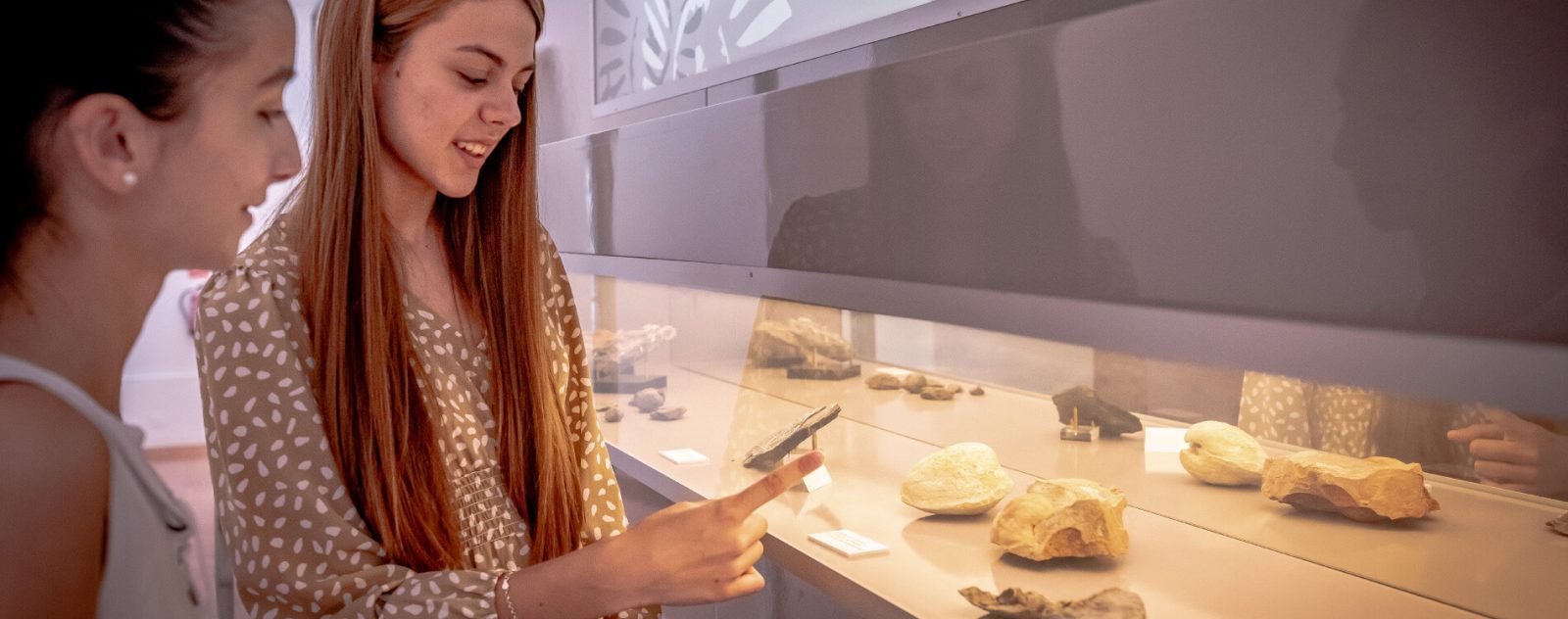 La Mina Integral La Mina Integral