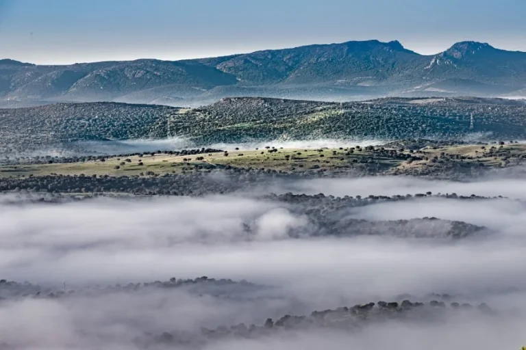 Rutas a caballo por la Dehesa de Castilseras
